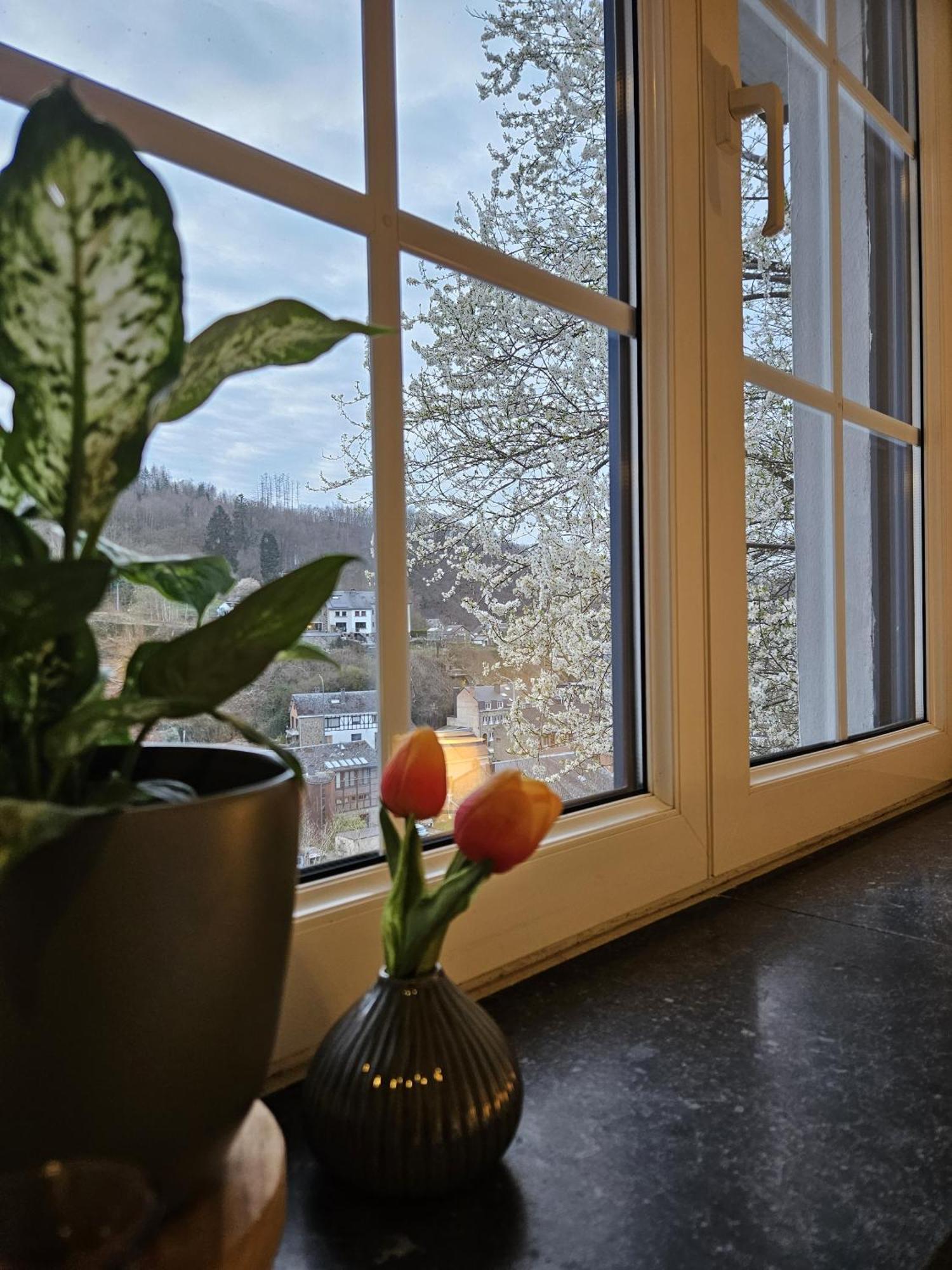 Gite Villa Le Monde - La-Roche-en-Ardenne Dış mekan fotoğraf